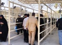 اتباع کدام کشورها در اربعین اجازه عبور از مرز خسروی دارند؟