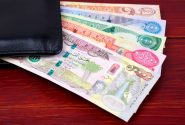 ارز اربعین چند؟/ زائران جامانده تا ۳۰ مرداد فرصت بازگشت ارز را دارند